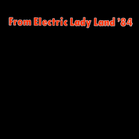 link to front sleeve of 'From Electric Lady Land '84' compilation LP from 1984