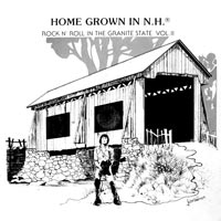 link to front sleeve of 'Home Grown In N.H.: Rock 'N Roll In The Granite State Vol. II' compilation LP from 1983