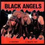 Black Angels: Destroy/Wild'n'hot