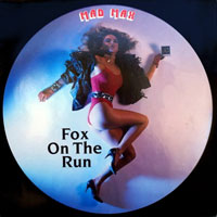 Mad Max - Fox On The Run 12