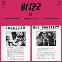 link to front sleeve of 'Blizz IIX' compilation LP from 1987