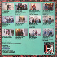 link to back sleeve of 'Little Rock Rocks II' compilation LP from 1988