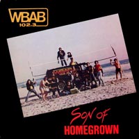 link to front sleeve of 'WBAB: Son Of Homegrown' compilation LP from 1982