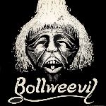 Bollweevil: Rock Solid / Sands of Time
