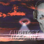Auditory Imagery: Reign