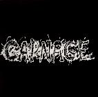 Carnage: same