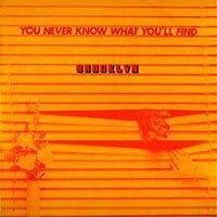 Brooklyn - You Never Know What You'll Find LP, Bacillus Records pressing from 1981