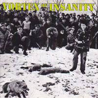 Vortex Of Insanity - Vortex Of Insanity CD, Hellhound Records pressing from 1994