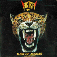 Akira Takasaki - Tusk Of Jaguar LP, Megaton pressing from 1983