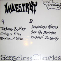 Indestroy - Senseless Theories MLP, New Renaissance Records pressing from 1988