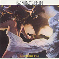 Melidian - Lost in the Wild LP sleeve