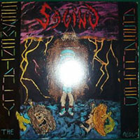 Savino - Sexmentally assaulted LP sleeve