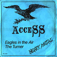 Access - Eagles In The Air 7" sleeve